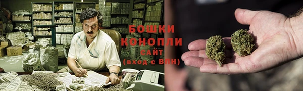 молекула духа Белоозёрский