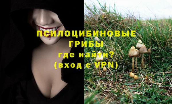 метадон Белокуриха