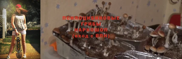 молекула духа Белоозёрский