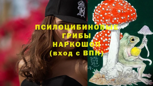 метадон Белокуриха