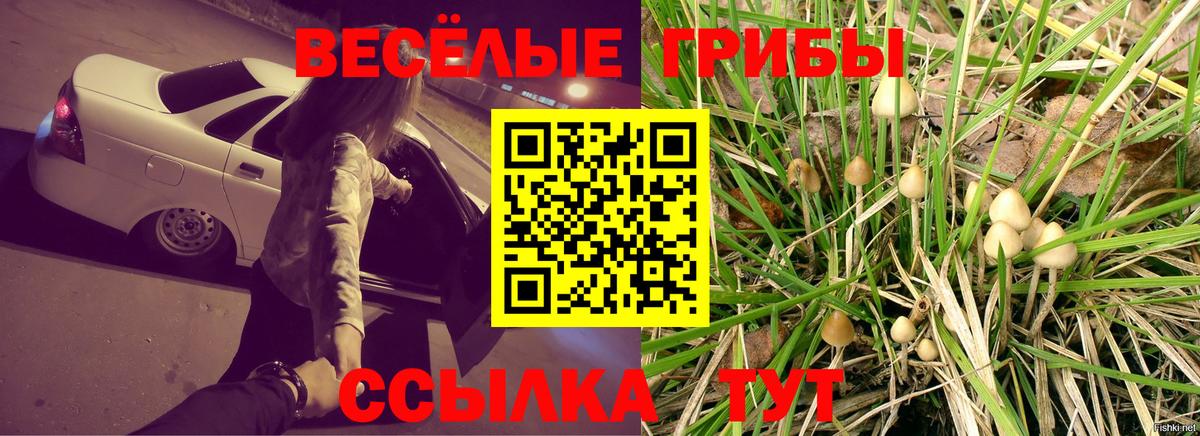 Псилоцибиновые грибы мицелий  Вход с VPN  цена   Горячий Ключ 